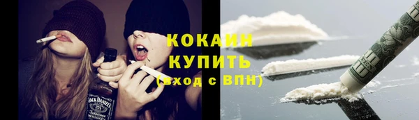 гашик Верея